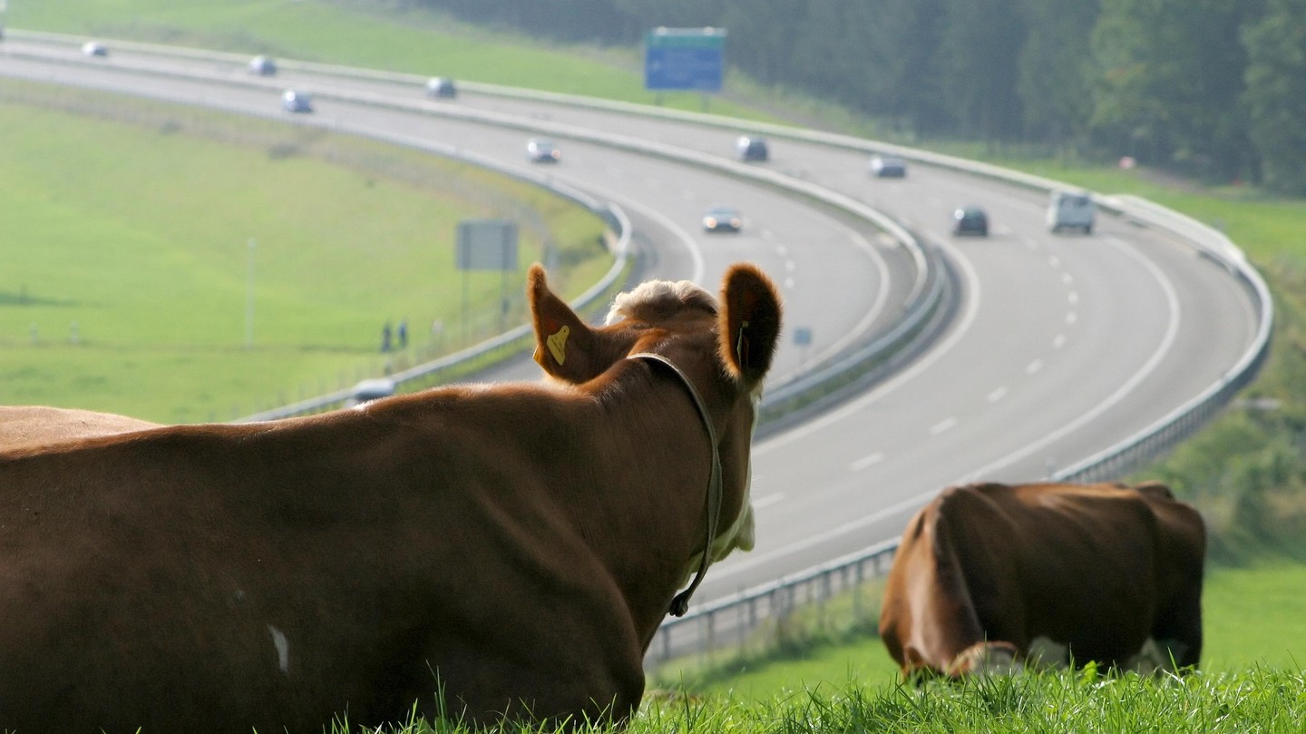 La proximité des axes routiers semble augmenter la concentration des résidus. @iStock