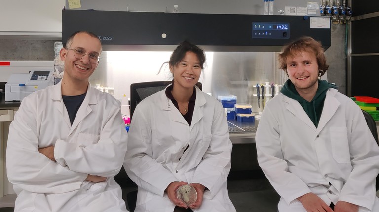 F. Avino, L. Song, L. Pipoz - © 2026 SPC/EPFL