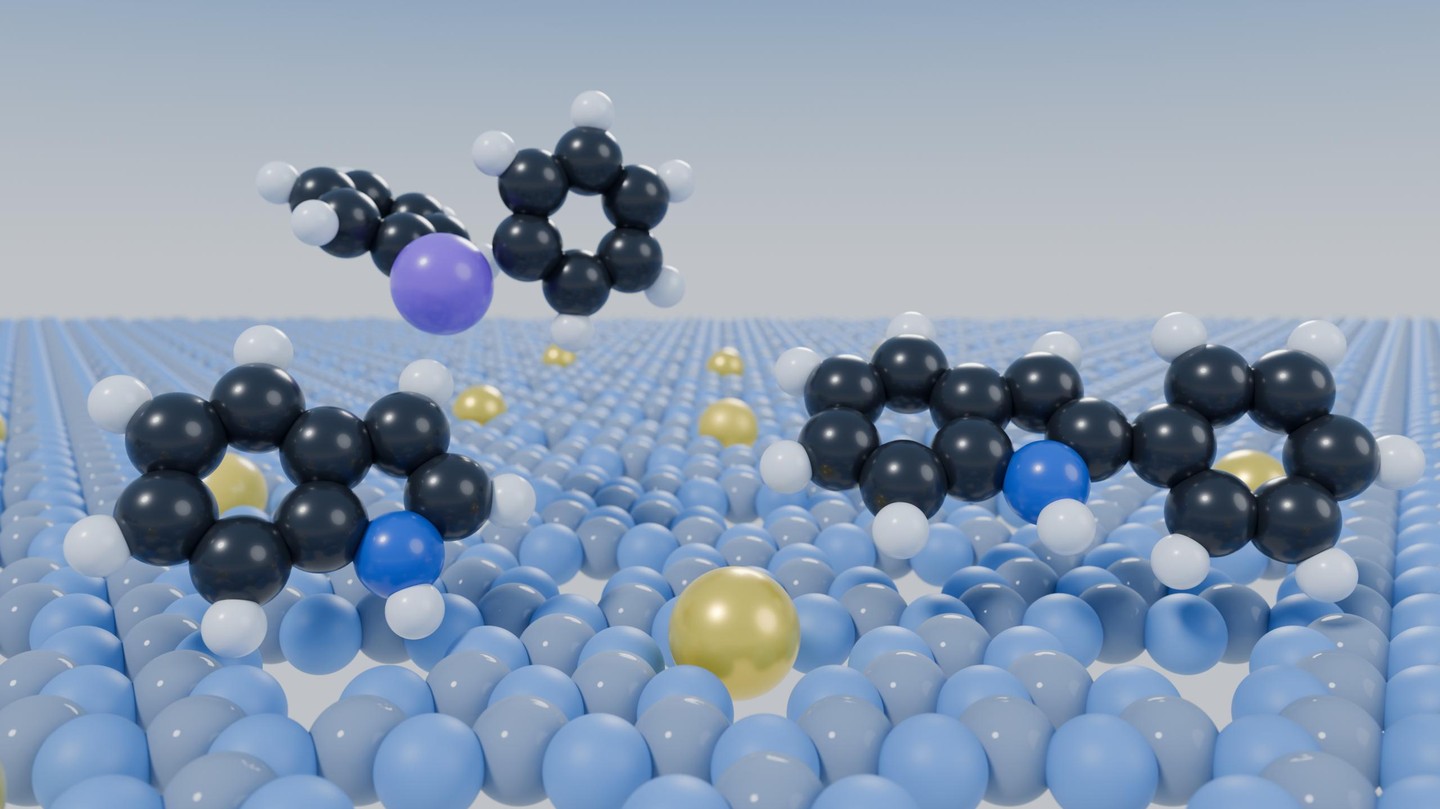 Un catalyseur à base d'un seul atome de palladium permettant le couplage de molécules organiques. Crédit: V. Olikauskas et M-E. Usteri © 2026 EPFL© 2026 EPFL