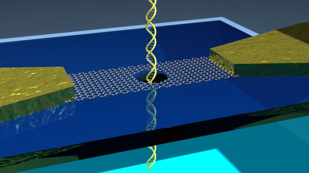 Graphene nanoribbons for “reading” DNA EPFL