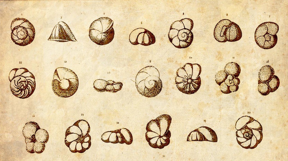 Wikimedia Commons Wikimedia Commons