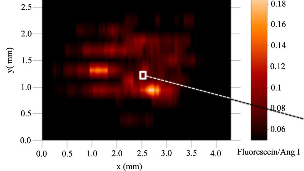 A "heatmap" generated with ESTASI/MSI ©2014 EPFL/LEPA