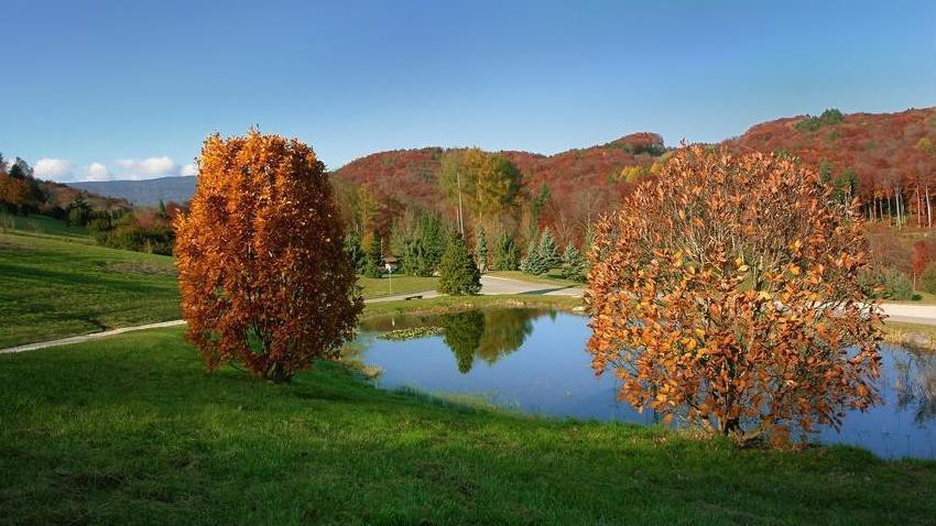 L'arboretum d'Aubonne et un de ses petits lac. L'arboretum d'Aubonne et un de ses petits lac.