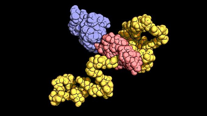 Hsp70 in closed conformation ©2014 EPFL