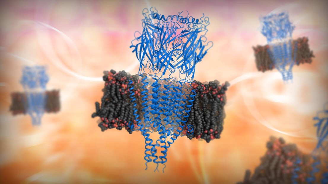 © 2014 EPFL © 2014 EPFL