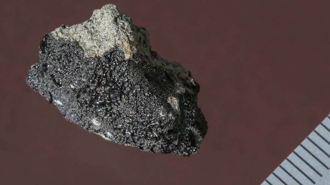 © Alain Herzog / EPFL