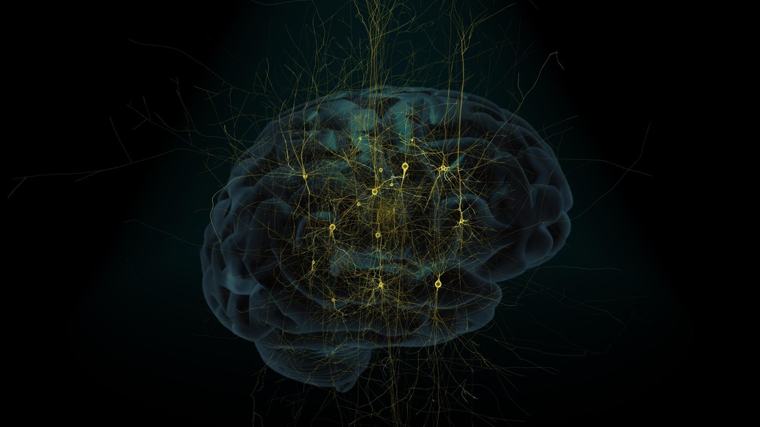 © A human brain model overlaid with a stylized network of neurons. © BBP/EPFL 2014