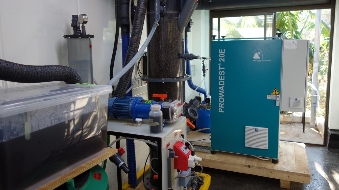 A nitrification reactor in the Newlands Mashu field laboratory in Durban, South Africa © Kai Udert – Eawag