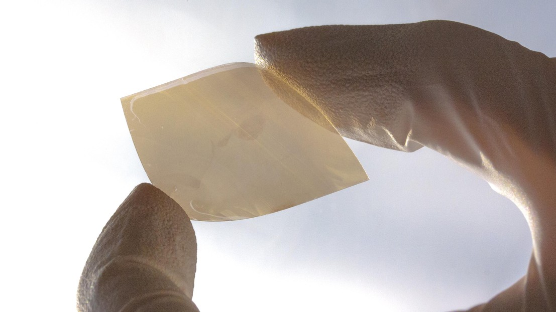 A tungsten diselinide thin-film ©Kevin Sivula/EPFL