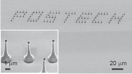 Writing of Conducting Polymer Nanowire Arrays. - EPFL