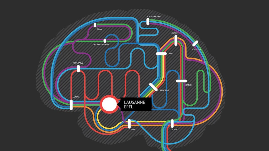 The Brain Forum shows how collaboration advances research - EPFL