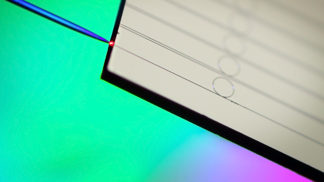 Des microrésonateurs en nitrure de silicium sur une puce couplée à une fibre optique. © Victor Brasch, Erwan Lucas / EPFL
