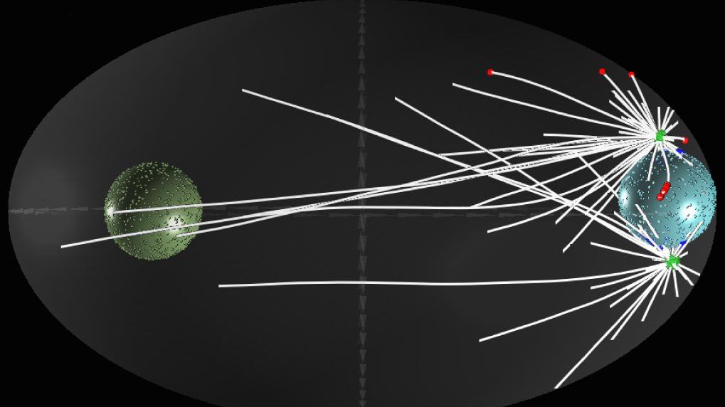 Computer simulation of centrosome separation in C. elegans embryos. © Pierre Gönczy/EPFL