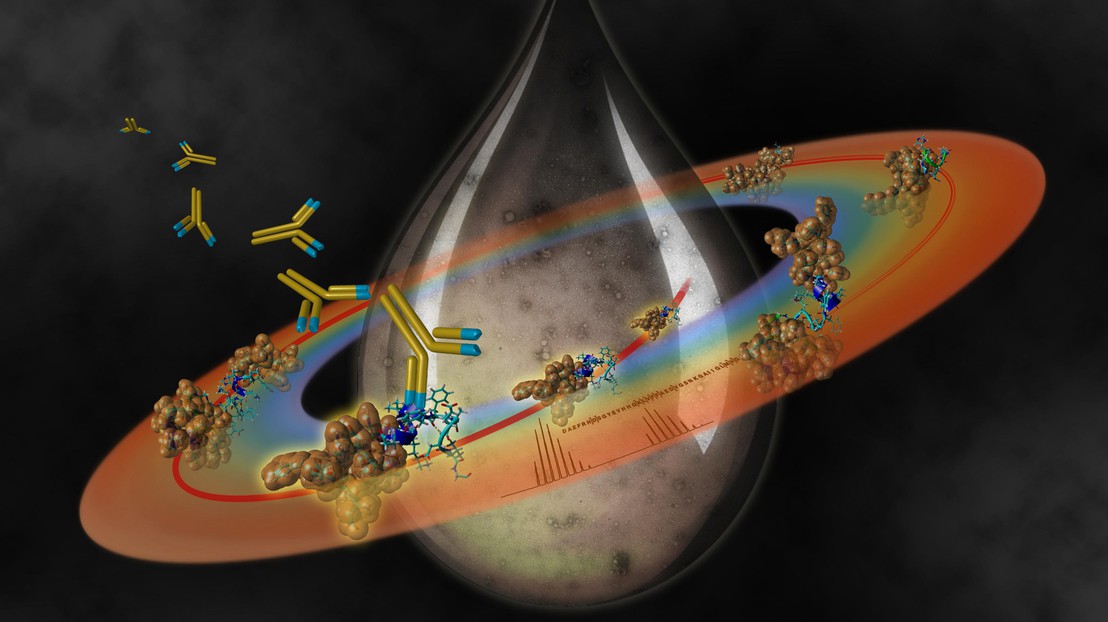 Ciblage des premiers germes d'oligomérisation d'Abeta © Felix Rehsteiner (Carapaz SA)