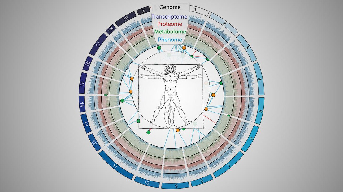 The biological "layers" of our body © J. Auwerx/P. Jha/EPFL