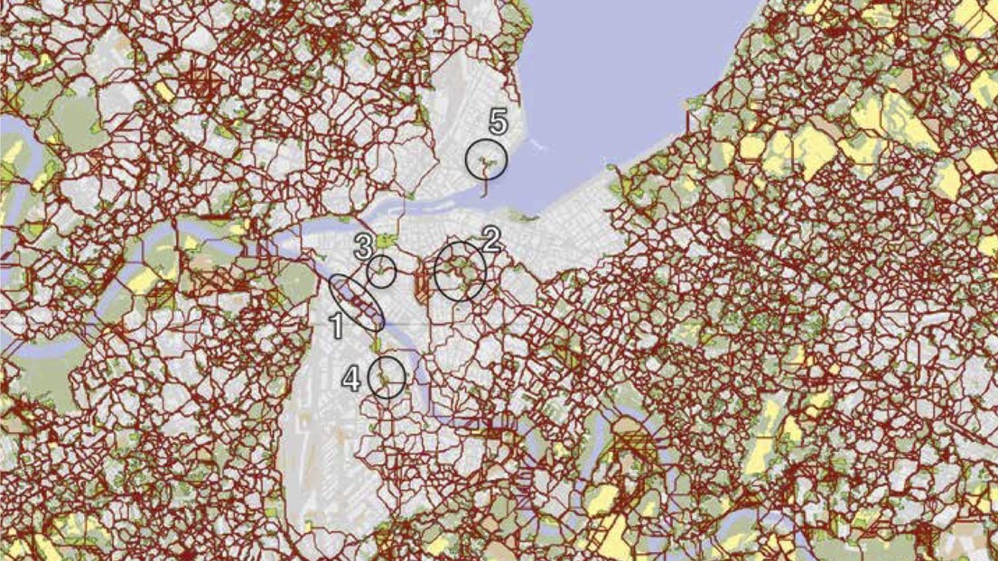 Map of the least-cost paths for the broad leaf with green space larger than 300 m2 downtown Geneva © 2016 EPFL