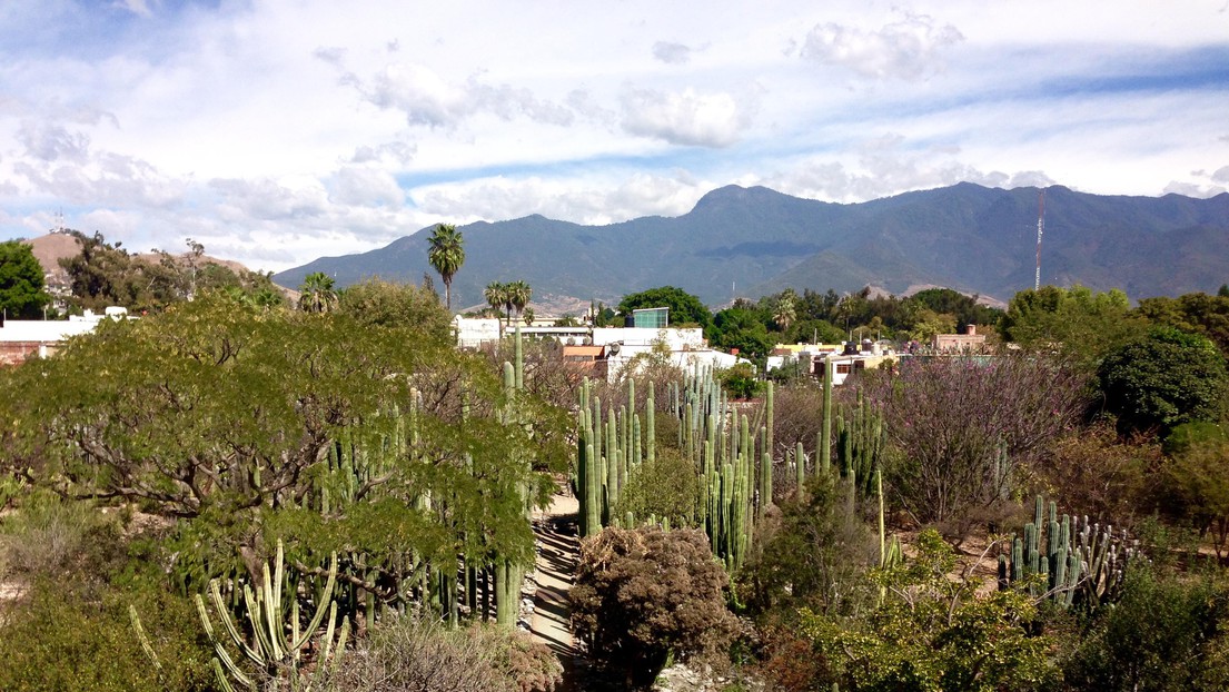 © G. Tejada - Landscape in Oaxaca, Mexico