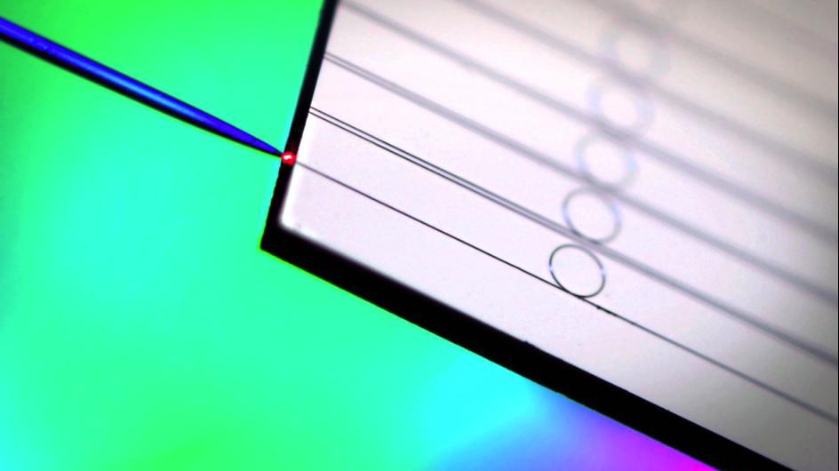 Des micro-résonateurs en nitrure de silicium sur un puce reliés à une fibre optique © Victor Brasch/Erwan Lucas/EPFL