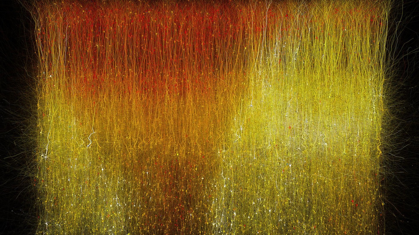 Mindsight Patterns Scientists discover hidden patterns of brain activity - EPFL