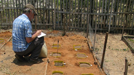 Alexandre Buttler taking initial measurements as part of the experiments in pots. © JGD