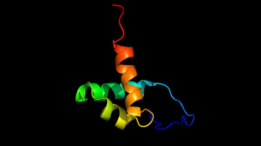 © 2011 EPFL