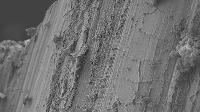 Vue au microscope d’une zone de glissement. © LEMR/EPFL