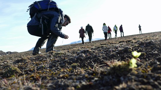 Excursion et prélévements à terre. ©E.Hoesli