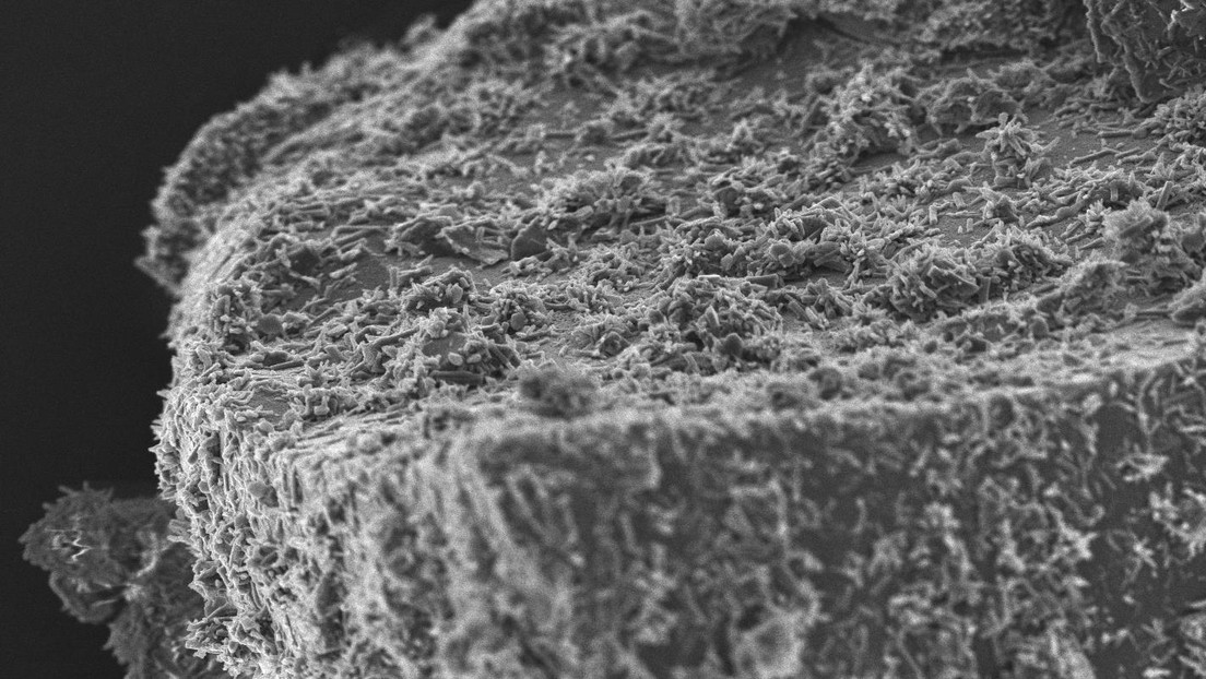 © 2017 EPFL Electron microscopy image of calcium silicate hydrate, the main cement hydration product
