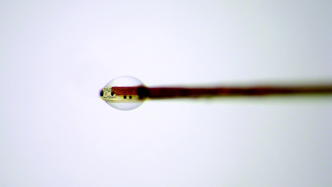 © Guillaume Petit-Pierre - Microgoutte de perfusion permettant l’extraction du liquide interstitiel grâce à l’outil développé par les chercheurs de l’EPFL