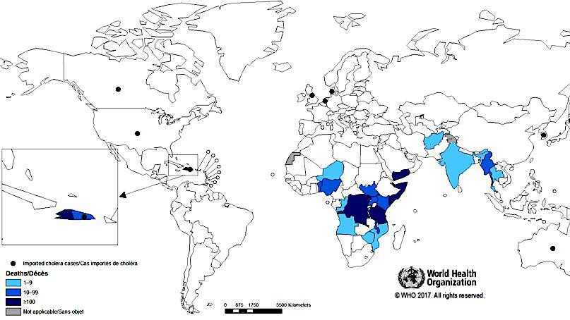 © 2017 World Health Organization