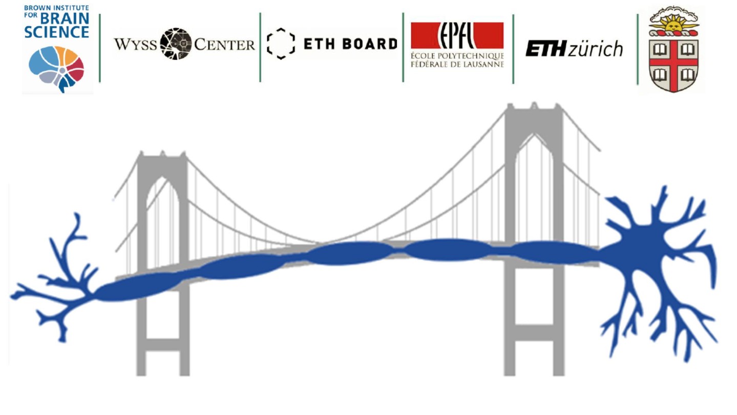 Bridging the Gap From Neuroscience to Translation EPFL