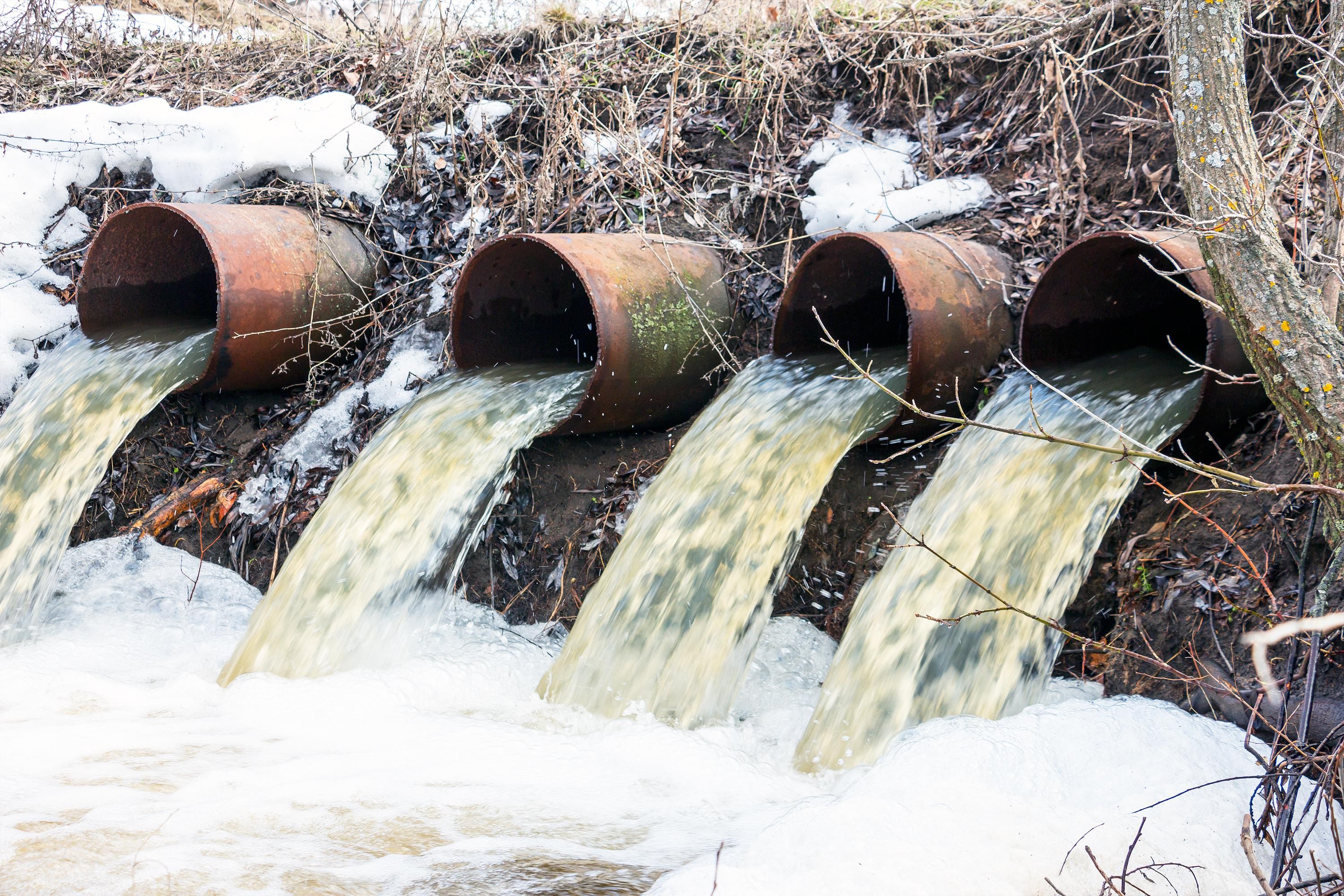 Métaux Lourds Dans L Eau Du Robinet Un piège à métaux lourds pour purifier l'eau
