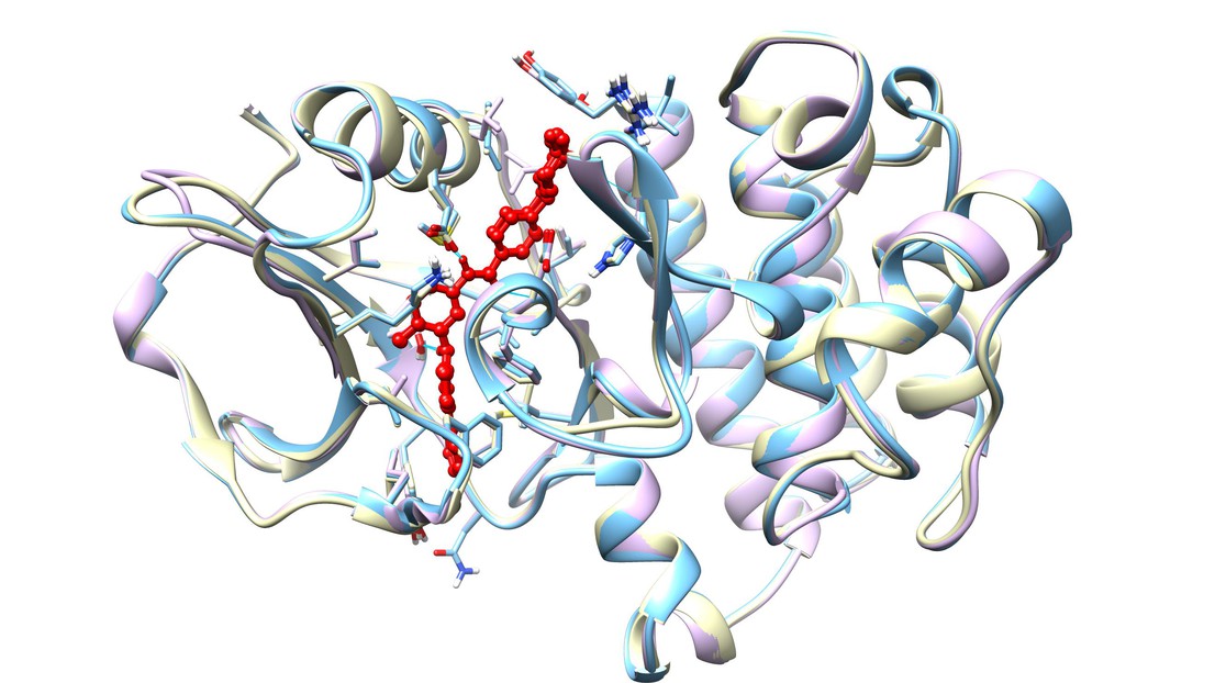 Le masitinib (coloré en rouge) se lie et inhibe l’activité de LYN (en rose), FYN (en bleu) et BLK (en jaune). Crédit: E. Oricchio/EPFL