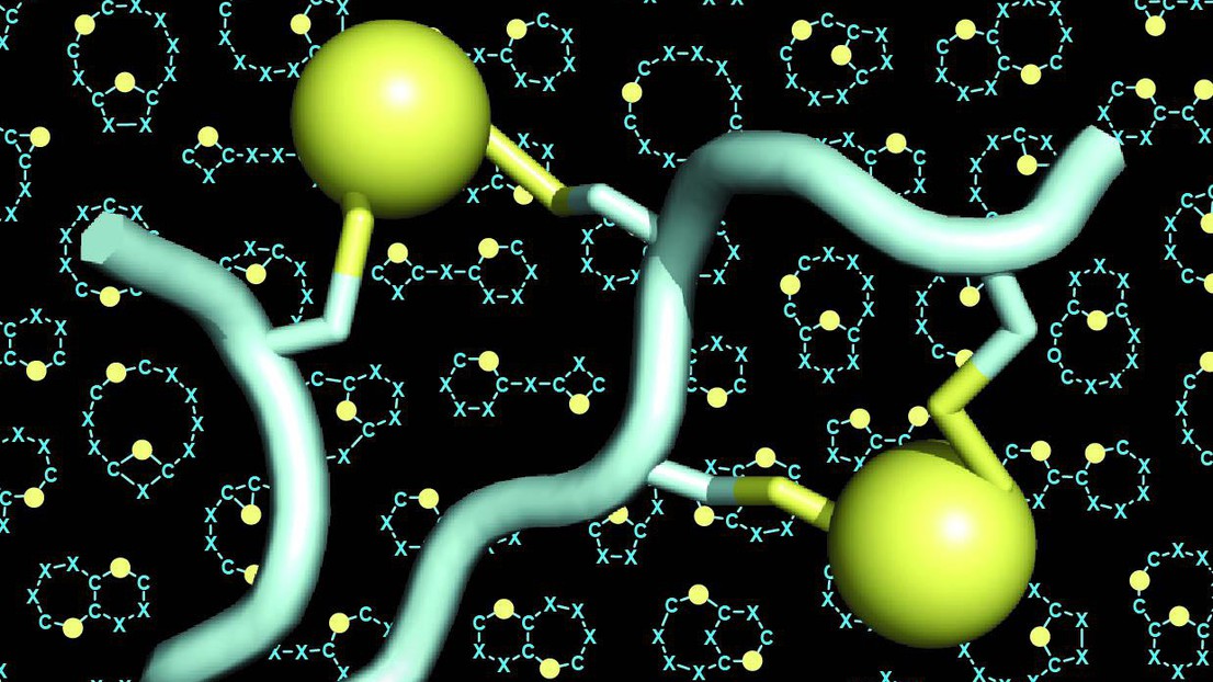 Double-bridged peptides © C. Heinis/EPFL