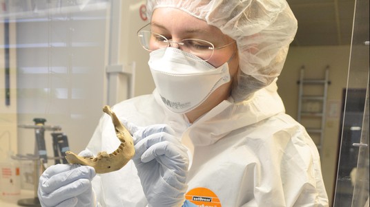 Verena Schuenemann at the Palaeogenetics Laboratory, University of Tübingen. Photo: Johannes Krause