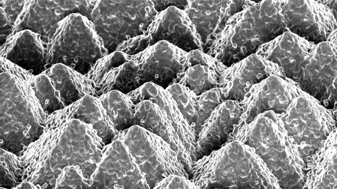 Image microscopique des pyramides de silicium recouvertes de la cellule perovskite© 2018 EPFL