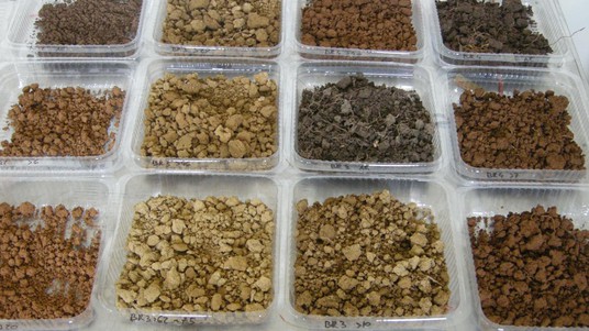 Samples coming from different kind of soils. © 2018 EPFL/WSL