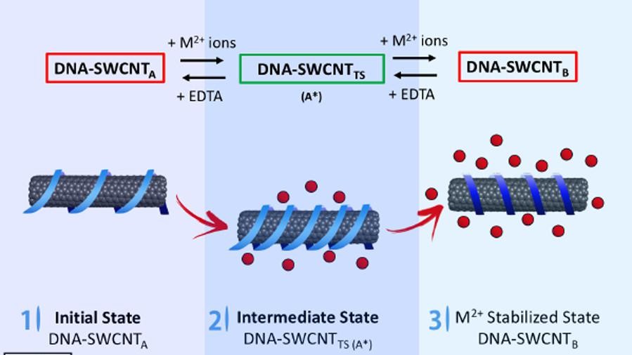 Enhanced ionic stability using Xeno Nucleic Acid Nanosensors EPFL