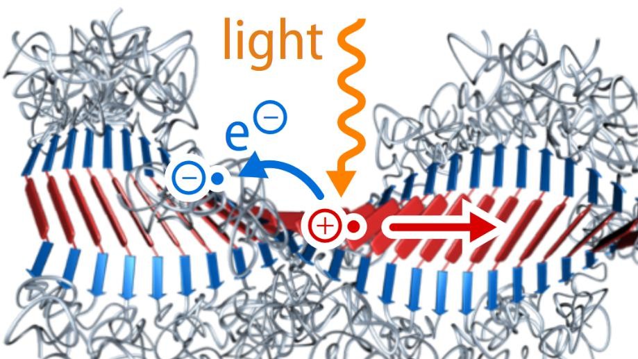 Unusually Long-Lived Photocharges in Helical Organic Nanostructures - EPFL