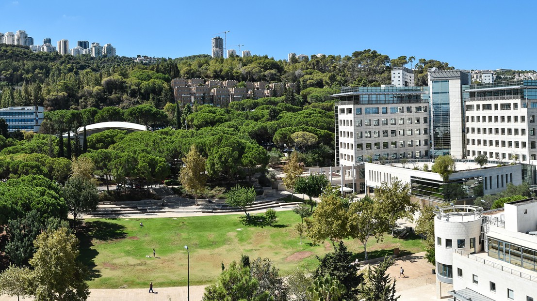 The Technion campus on Mount Carmel in Haïfa. DR