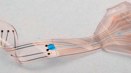 L’implant neuronal « e-Dura » qui se greffe sur la moelle épinière. © 2015 LSBI / EPFL