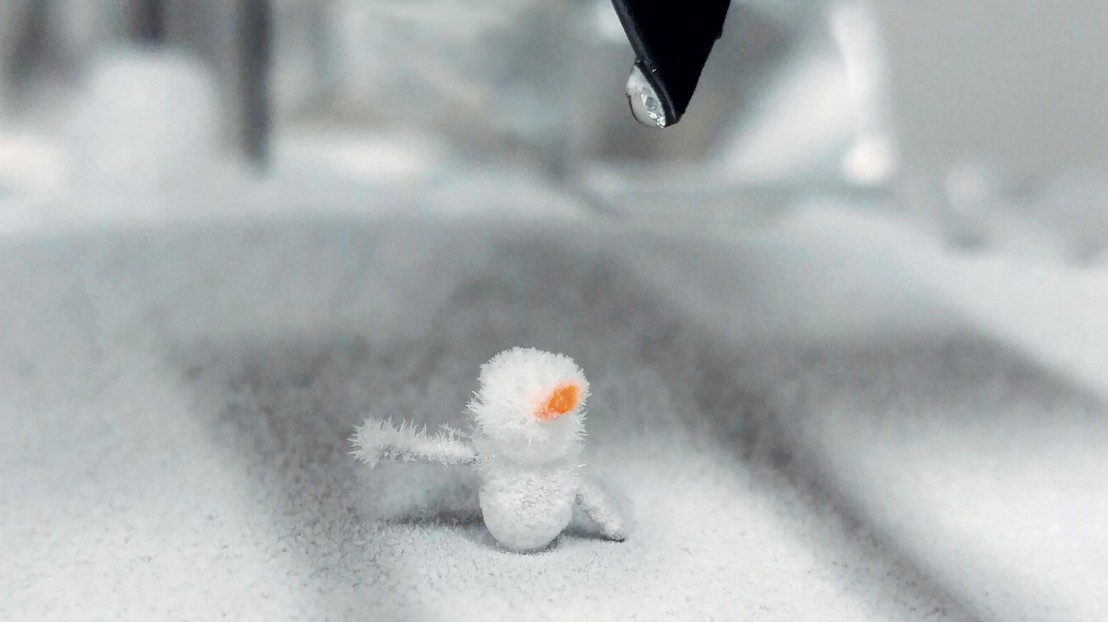 Mini snowman. © Ludovic Serex