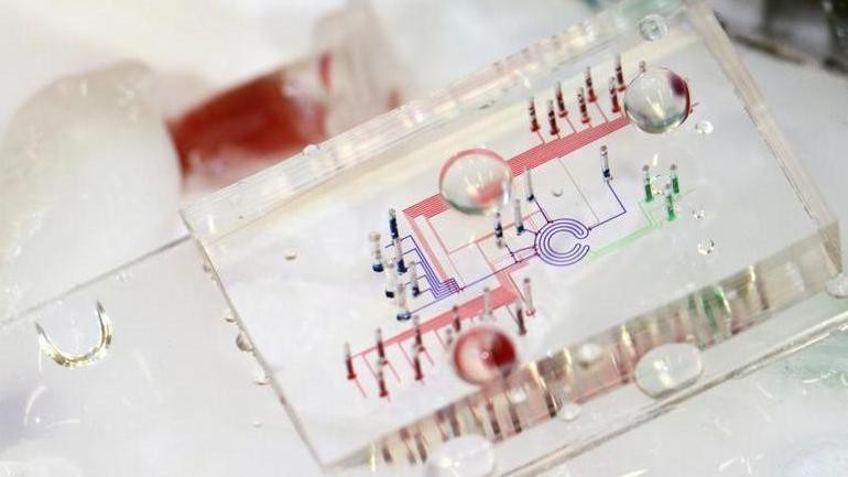 Dispositif intégré micro-fluidique complexe, destiné à l’exécution "on-chip" de manipulations automatisées en biochimie des protéines