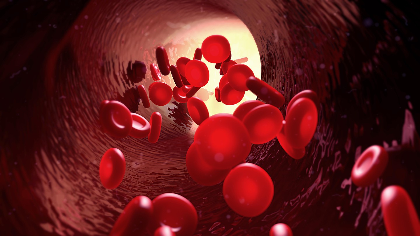 Vitamin B3 analogue boosts production of blood cells - EPFL