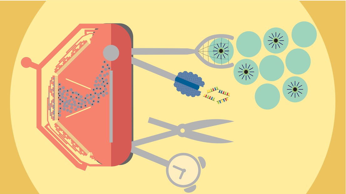 © 2019 Deplancke Lab, EPFL (Overview of the cp-chip: on a single chip, beads can be efficiently captured and enzymatically treated to convert single-cell RNA to cDNA in a time efficient manner).