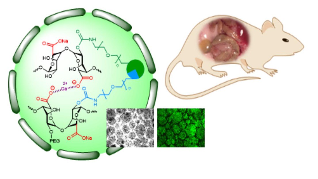 Cross-linked alg-based hydrogels © S. Gerber/EPFL 2019