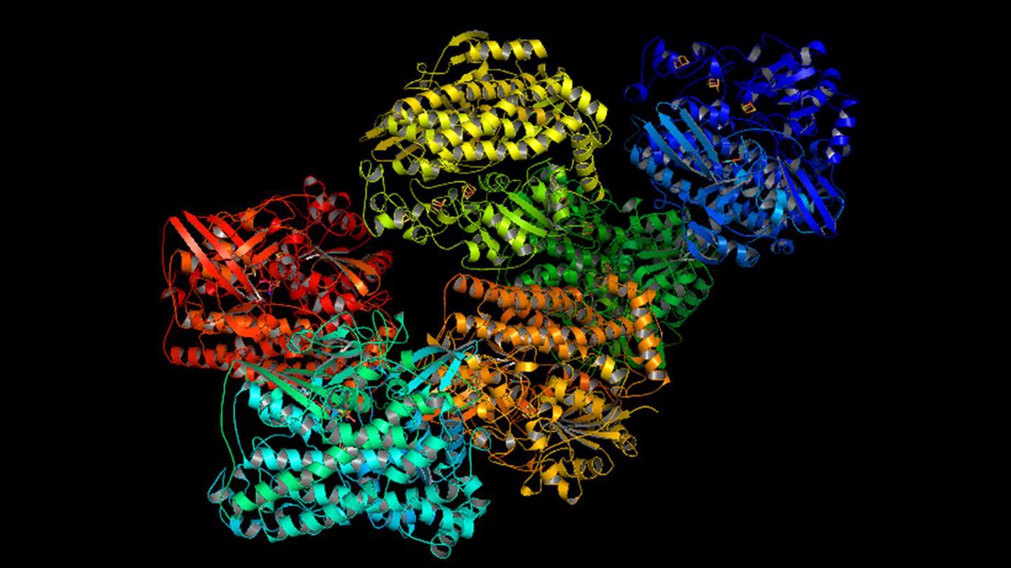 Crystal structure of [NiFe] hydrogenase (Wiki Commons)