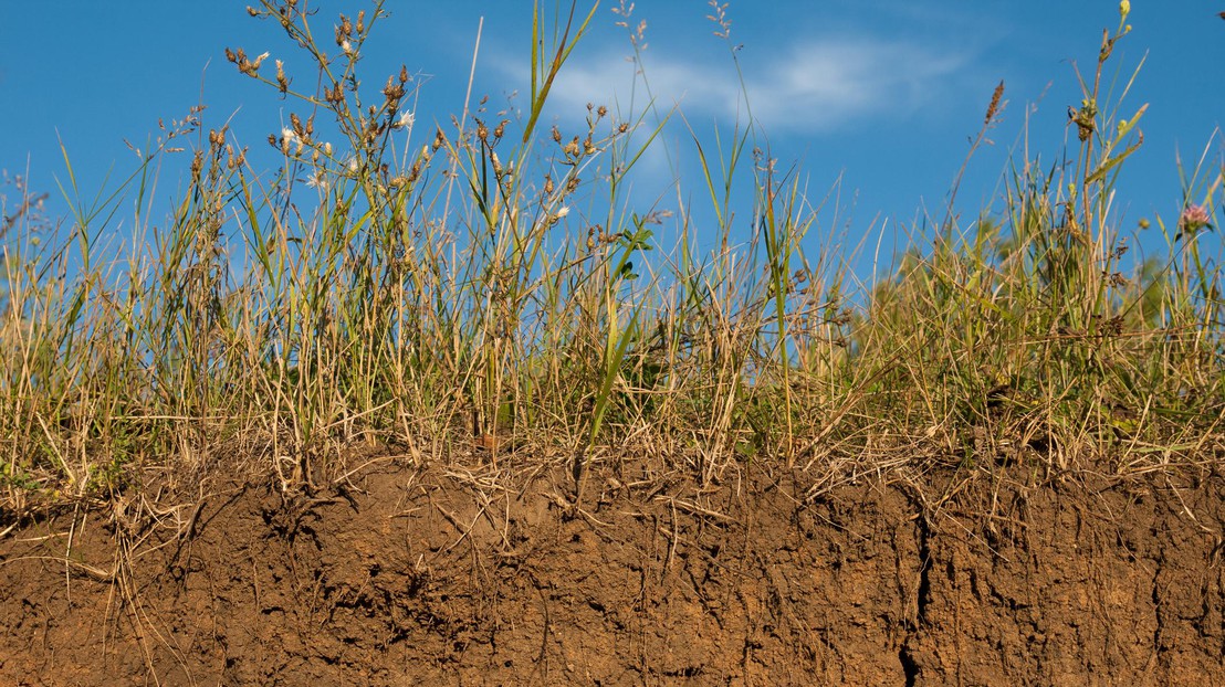 A soil section. © iStock