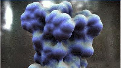 Fragment de molécule de gramicidine © INRIA