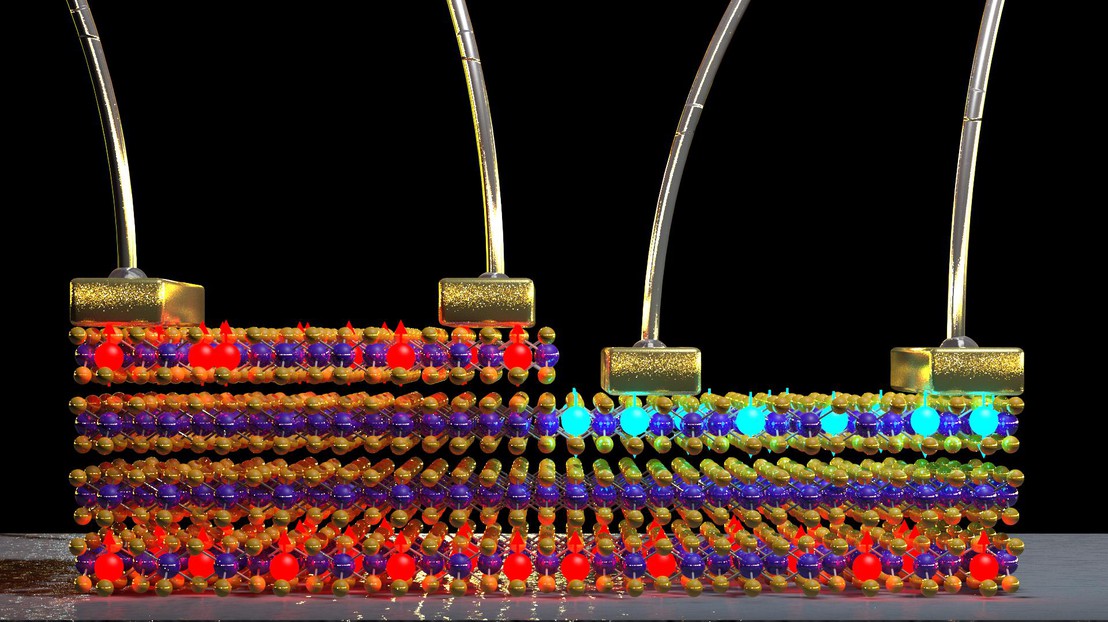 Les chercheurs ont révélé un magnétisme dépendant de la couche dans les appareils à base de PtSe2  © Alberto Ciarrocchi / EPFL 2019